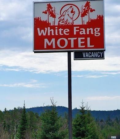 White Fang Motel واوا المظهر الخارجي الصورة