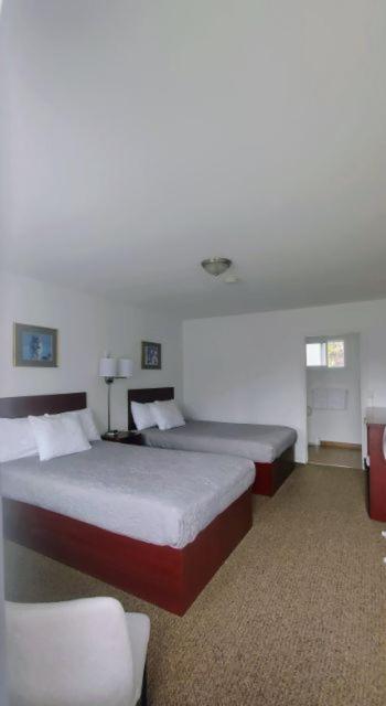 White Fang Motel واوا المظهر الخارجي الصورة